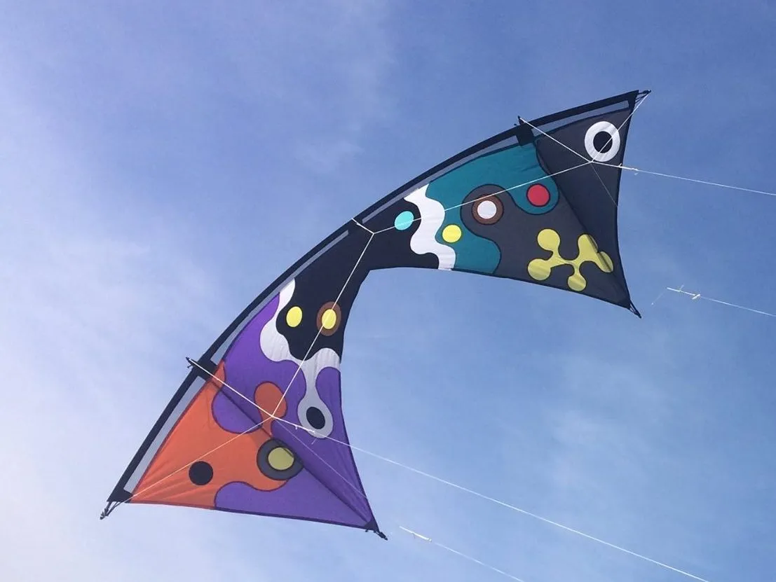 Exemple de cerf-volant par Yves Ganne